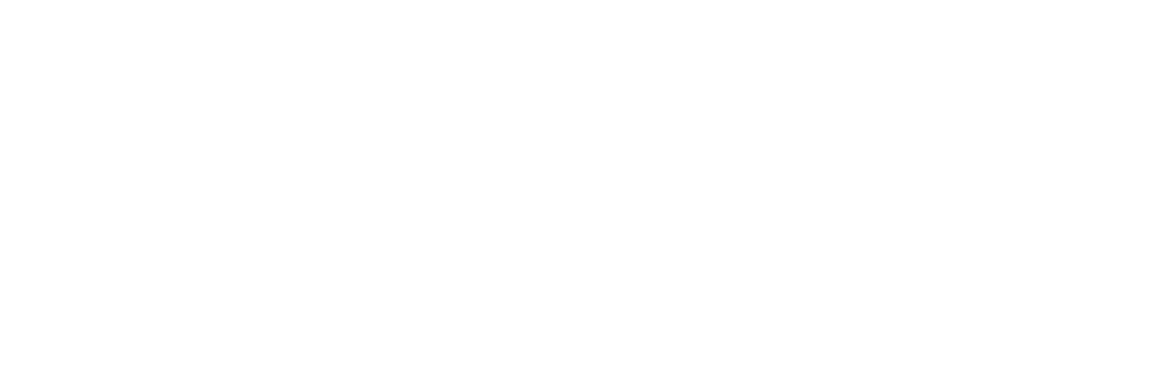 Viva-la-Visa-Logo-trabnsparent-white